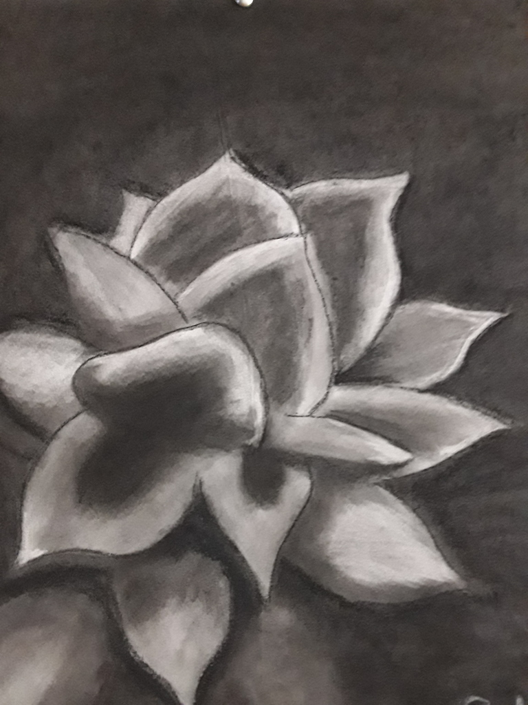 Drawing by Seth Richards